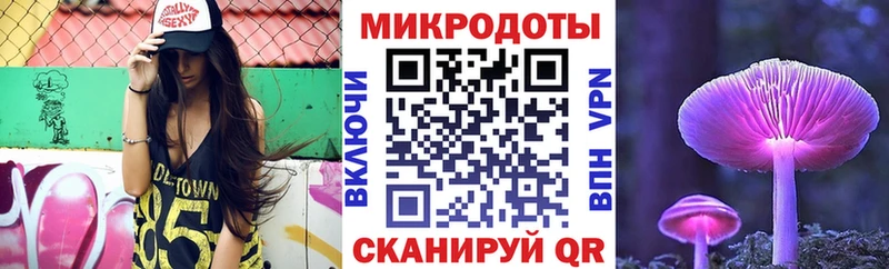 закладка  Геленджик  Галлюциногенные грибы Cubensis 